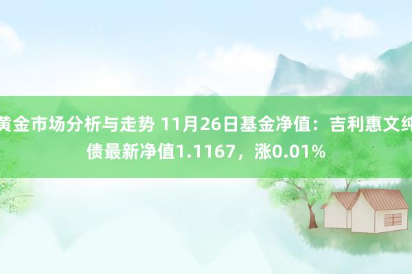 黄金市场分析与走势 11月26日基金净值：吉利惠文纯债最新净值1.1167，涨0.01%