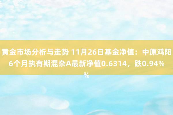 黄金市场分析与走势 11月26日基金净值：中原鸿阳6个月执有期混杂A最新净值0.6314，跌0.94%