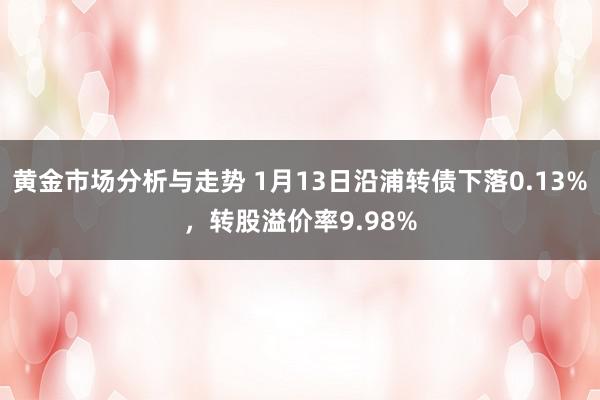 黄金市场分析与走势 1月13日沿浦转债下落0.13%，转股溢价率9.98%